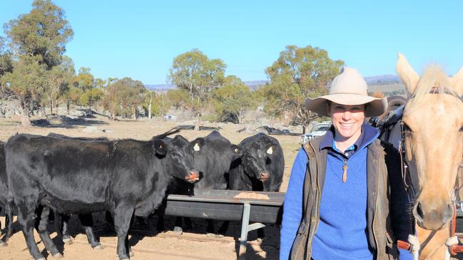 Black beauties: Tracey Gowen and her horse Poppy, with some Angus heifers being fed hay on her family’s NSW Northern Tablelands property.