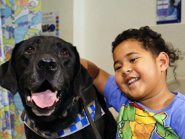 Sick children in the Cairns Hospital over Easter received a special visit from Queensland Police dog squad officer Senior Constable Filipe Peraza and police dog Neo on Thursday, who handed out Easter eggs and lots of pats. Police dog Neo brings some holiday joy to River-Jay Tuimauga, 5, in hospital for an operation. Picture: Brendan Radke