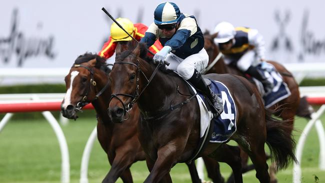 SYDNEY, AUSTRALIA - NOVEMBER 05: Tommy Berry riding Gringotts wins Race 5 The Big Dance during Sydney Racing at Royal Randwick Racecourse on November 05, 2024 in Sydney, Australia. (Photo by Jason McCawley/Getty Images)