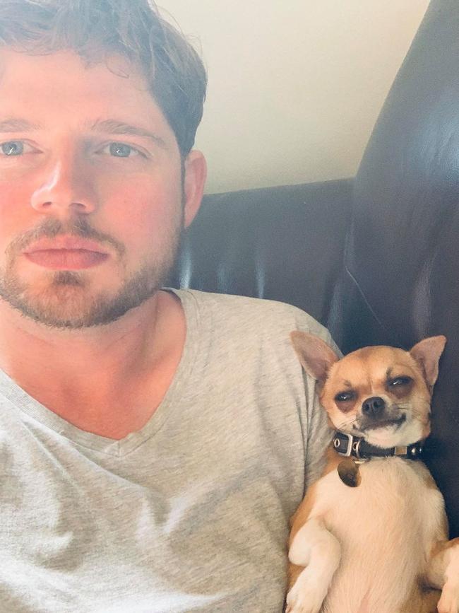 Mr Goodbourn says he wound up with three chihuahuas after getting ‘a bit carried away’.