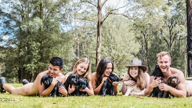 Puppies, piglets, sheep and horses will all feature in the 2020 calendar. Picture: Fiona Emdin