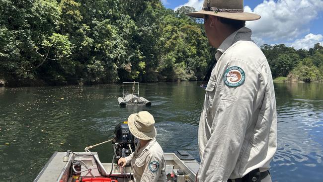 Rangers set a crocodile trap near the Ross and Locke swimming hole on the Mulgrave River. Picture: Department of Environment, Science and Innovation