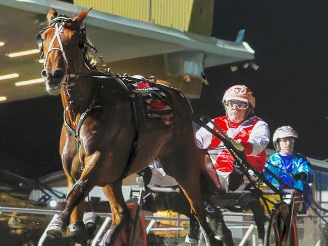 Queen Elida winning her heat on the third night of the Inter Dominion heats. Picture: Dan Costello