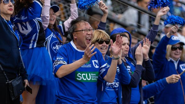 Newtown Jets fans will be out in force this weekend. Picture: Mario Facchini/mafphotography