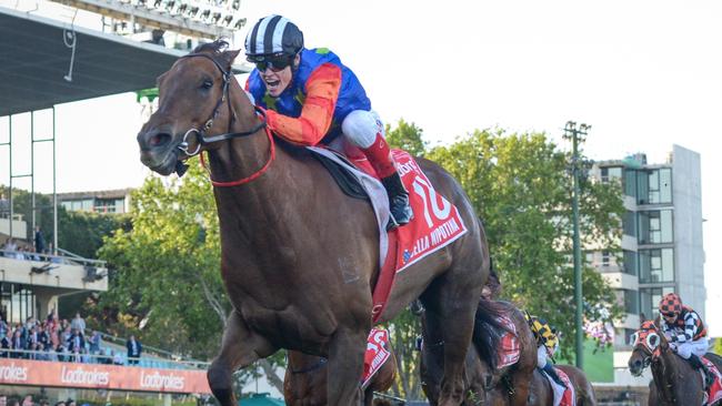 Bella Nipotina and jockey Craig Williams will chase a second Group 1 win together in Saturday’s Lightning Stakes at Flemington. Picture: Racing Photos via Getty Images