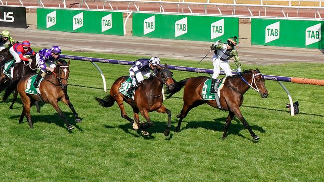 The one to beat: Incentivise wins Saturday’s TAB Turnbull Stakes Flemington. Picture: Scott Barbour – Racing Photos via Getty Images