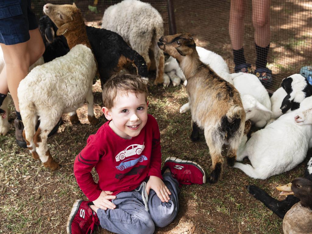 William Cooper with some animal friends in the petting zoo at the Fairholme Spring Fair, Saturday, October 19, 2024. Picture: Kevin Farmer