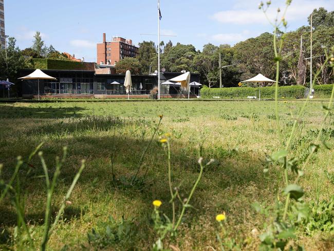 Paddington Bowling club is now closed and overgrown.