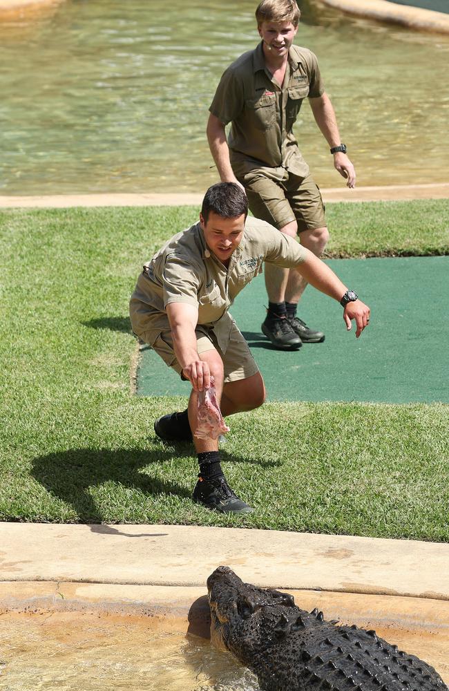 Bindi’s husband Chandler Powell feeding a crocodile with Robert Irwin.