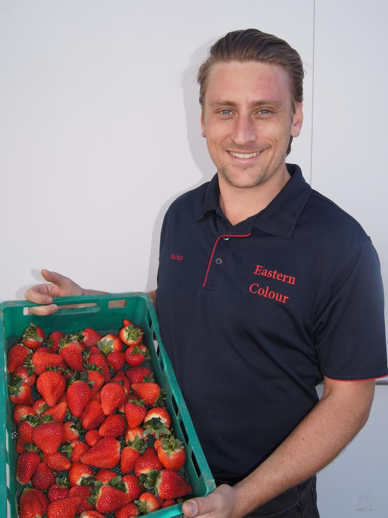 Director of strawberry and apple farm Eastern Colour Nathan Baronio. Photo: NRM