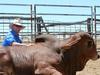 ‘One of the hardest working men I’ve ever met’: Grazier’s tragic end