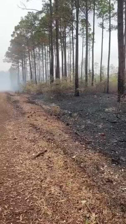 Rain Falls on Fire-Hit Carolina Forest