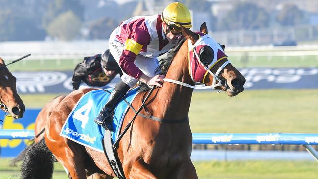 Waimarie and jockey Mark Zahra will shoot for back-to-back wins together at The Valley on Saturday. Picture: Racing Photos