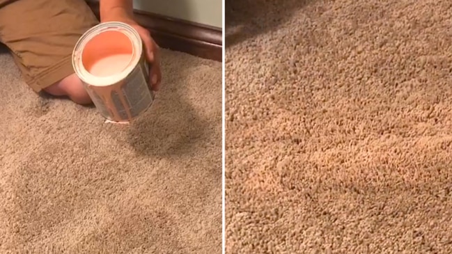 How to Remove Paint From Carpet