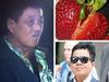 $12m question: Strawberry needle culprit may never be found