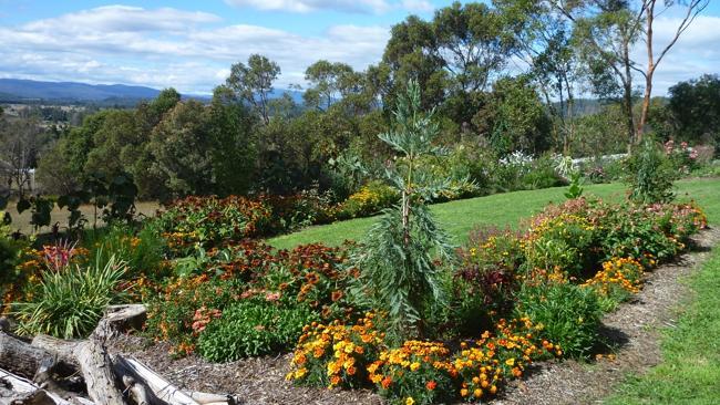 Grey Sands Vineyard, Tasmania.