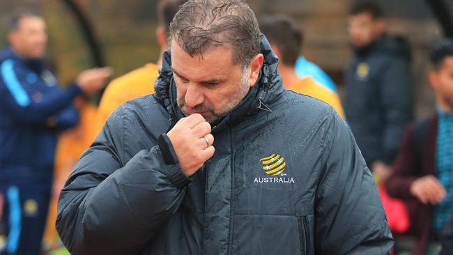 Ange Postecoglou.