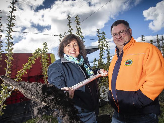Huon Aquaculture's Frances Bender with cherry grower Nic Hansen. They have partnered up with Hansen Orchards taking Huon's salmon waste and transforming it into compost for their cherries. Picture: LUKE BOWDEN