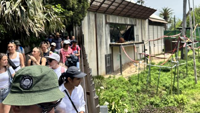 Crowds leave an orangutan enclosure after a baboon got loose at Melbourne Zoo. Picture: Supplied.