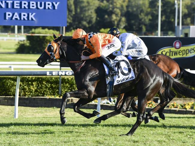 Fun Sunday is Shayne O'Cass's best value bet at Canterbury on Friday night. PIcture: Bradley Photos