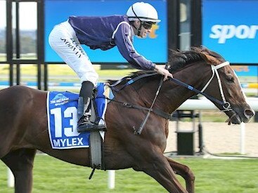 Having start 31, Mylex wins The Hotham by 2.75 lengths. Picture: Pat Scala/Racing Photos