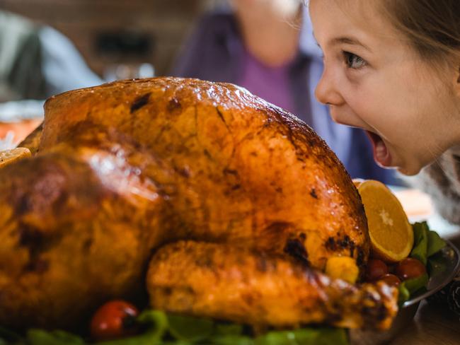 Cute little girl having fun while about to bite a stuffed turkey during Thanksgiving dinner in dining room.