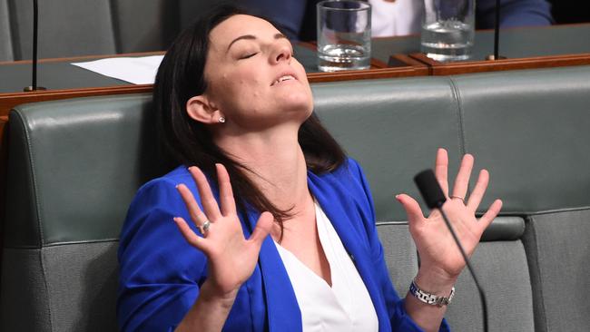 The Member for Lindsay made known her heartfelt passions for disability rights and domestic ­violence awareness early in her parliamentary career.