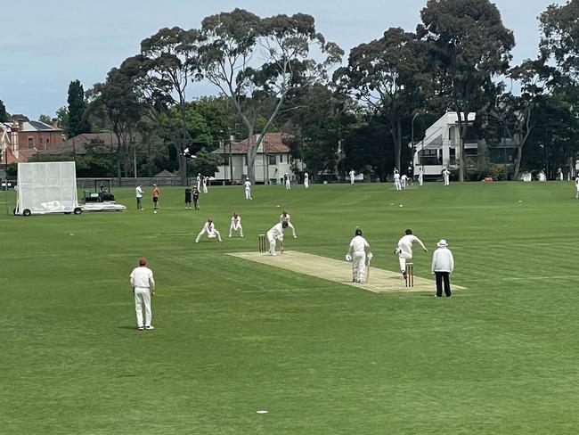 APS cricket. (Picture: Xavier Sport Twitter)