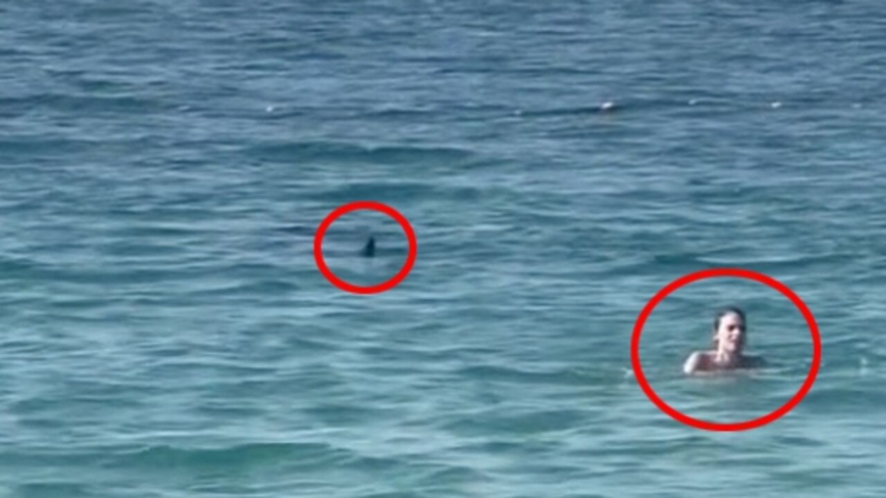 The moment a shark gets very close to a woman swimming in the sea. Picture: Jam Press.