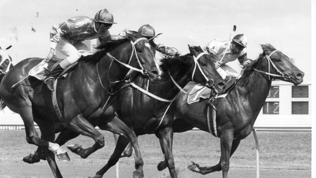 Jim Maxwell has a soft spot for Belmura Lad (outside) beating Kingston Town (centre) and No Peer in the L.K.S McKinnon Stakes.