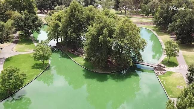 Algal bloom from the air