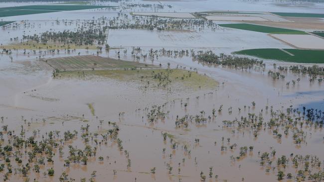 Rich farming country near the northern NSW town of Boggabilla is pictured inundated with flood waters from the Macintyre River.