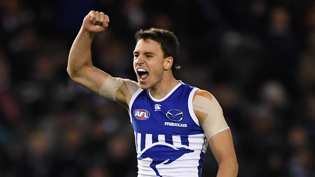 Luke Davies-Uniacke celebrates a goal for North Melbourne. Picture: AAP Image/Julian Smith.