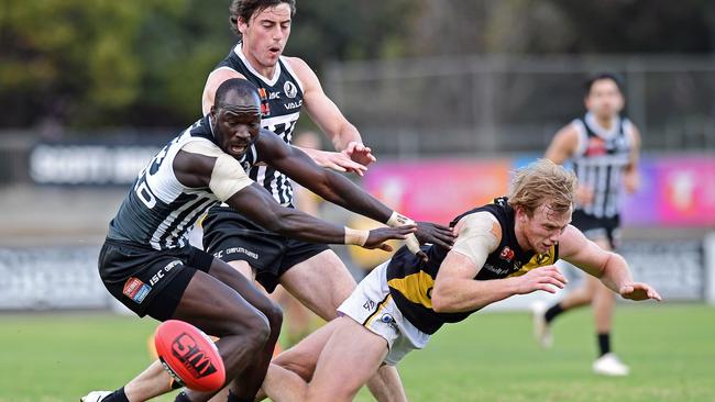 Joshua Scott’s hopes of a Ken Farmer Medal have not taken a dive. Picture: Tom Huntley