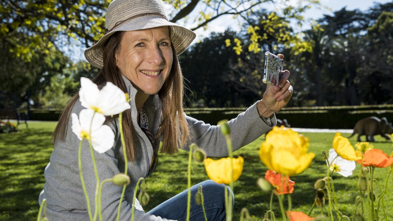 Sue Curnow photographing the flowers in Laurel Bank Park during the Carnival of Flowers. Picture: Kevin Farmer