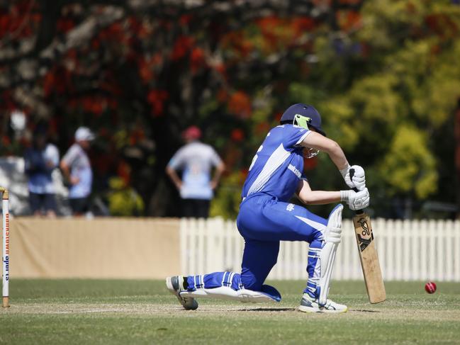 Jessica Robertson starred with the bat for Bankstown. Picture: Warren Gannon Photography