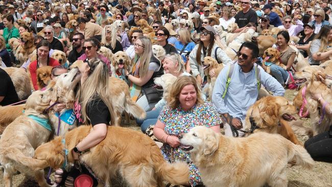 Goldrush world record attempt at the Geelong Showgrounds. Picture: Mark Wilson