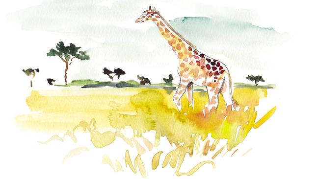 Travel is increasingly all about the experience. Illustration by Sarah Hankinson.