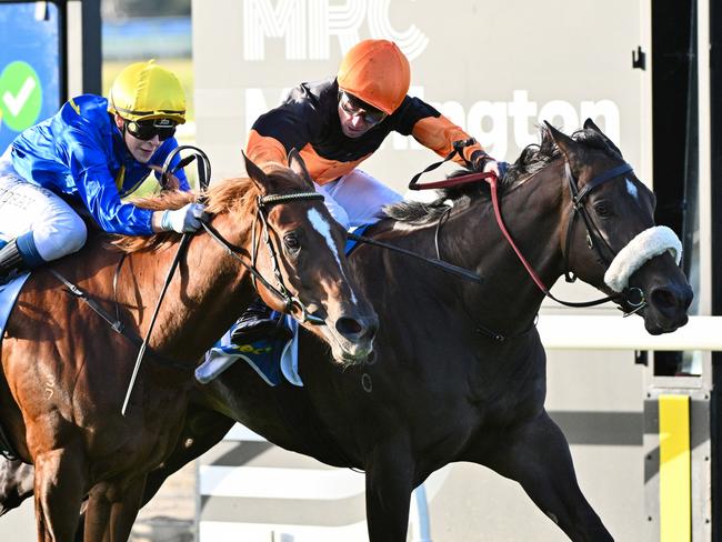 MORNINGTON, AUSTRALIA - APRIL 20: Michael McNab riding Maharba defeats Celine Gaudray riding Starlight Scope (3rd) in Race 9, the Sportsbet Hareeba Stakes, during Melbourne Racing at Mornington Racetrack on April 20, 2024 in Mornington, Australia. (Photo by Vince Caligiuri/Getty Images)