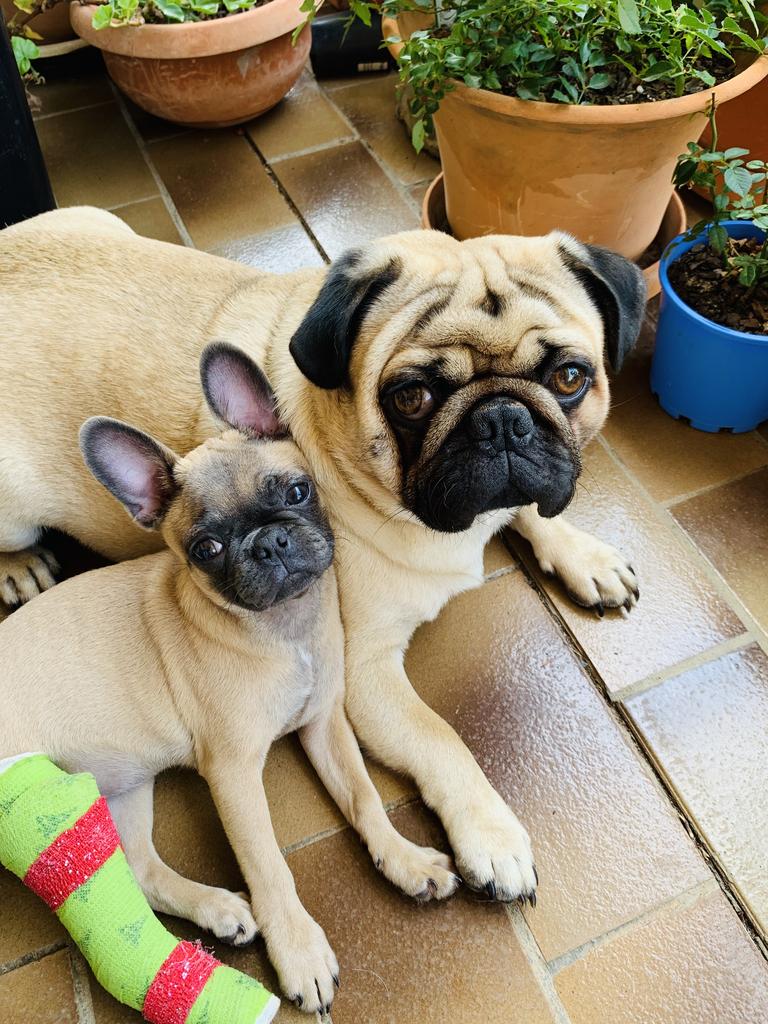 Hollie loves her big brother Hughie. Picture: Martina Hollis