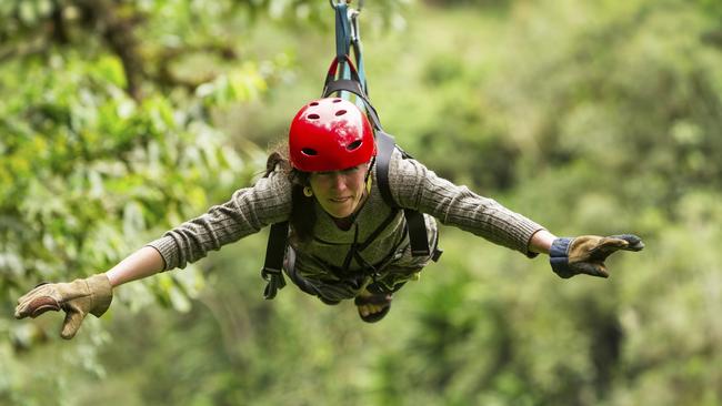 A $1.8m zipline project is part of a major upgrade to the Mt Coot-tha parklands.