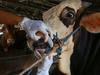 Deadly virus detected in Aussie supermarkets