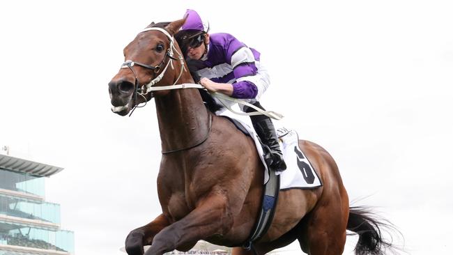 Riff Rocket thrashed his rivals the last time he was at Flemington. Picture: George Sal/Racing Photos via Getty Images