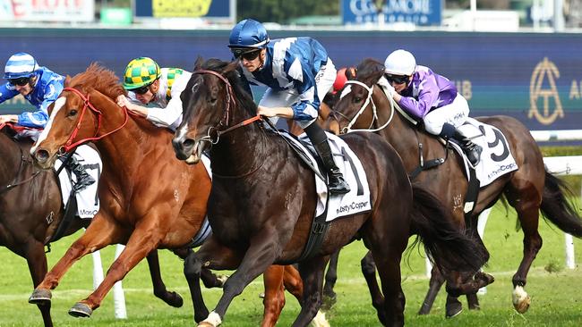 Buenos Noches can show he’s among the top sprinters in the country. Picture: Jeremy Ng/Getty Images