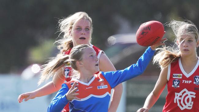 There has been an explosion in the number of girls playing footy at Armstrong Creek. Picture: Mark Wilson