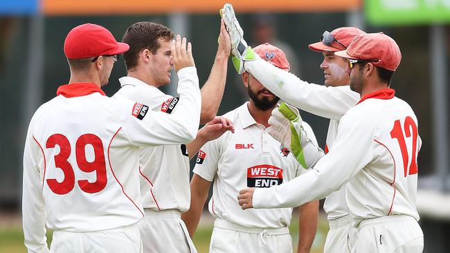 Nick Winter of the Redbacks celebrates taking a wicket last summer. He has been in top form in England. Picture: AAP Image/Mark Brake