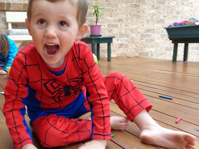 William Tyrrell went missing in 2014.