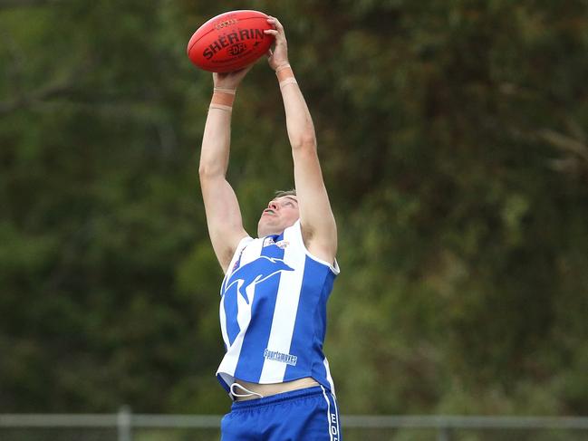 Liam Molloy on the stretch for Oak Park. Picture: Hamish Blair