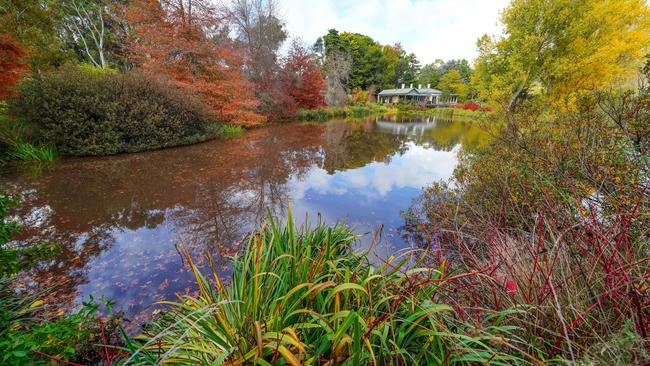 Labour of love: the garden at Mount George. Pictures: Peter Knights