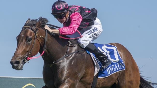 Jockey Luke Dittman won four races at the Gold Coast Turf Club on Saturday, October 20, 2018. Pictured on the Gillian Heinrich-trained Depths Below. Picture credit: Greg Irvine (Magic Millions).